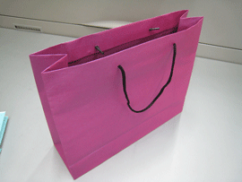 FANCY PAPER BAG